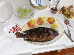 100228_Tlapacoyan 094